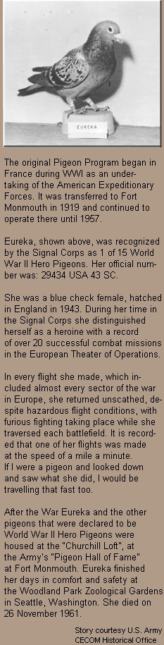 U.S. Army Signal Corps Hero Pigeon - Eureka