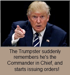 The Commander In Chief Issues Orders