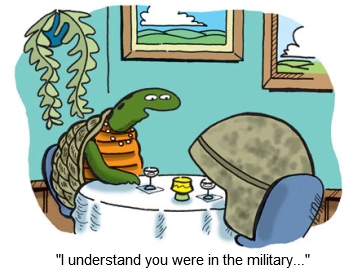 Military turtles