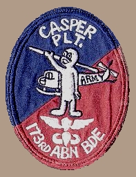 173rd Airborne Brigade - Casper Platoon