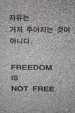 Freedom Is Not Free