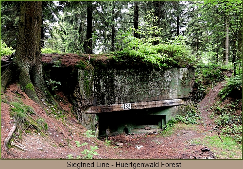 Siegfried Line - Huertgenwald Forest